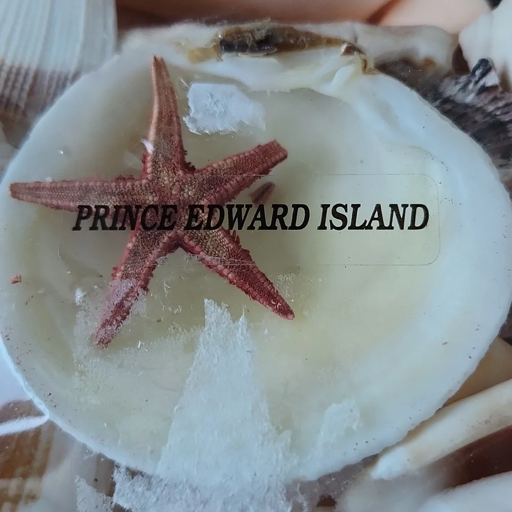 PEI Shells - Picture 3 of 3